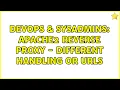 DevOps SysAdmins Apache2 Reverse Proxy - different handling or urls