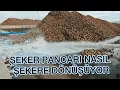 Download Lagu PANCARIN ŞEKERE DÖNÜŞÜMÜ