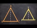 What are the special segments of similar triangles