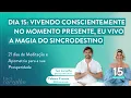 Download Lagu Dia 15 - 21 dias | Meditação e Apometria para Abundância