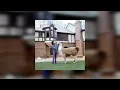 Michael Jackson - P Y T Pretty Young Thing Speed Up