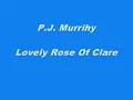 P.J. Murrihy - Lovely Rose Of Clare