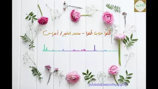 طلوا حبابنا طلوا محمد الخير أعراس Wedding Song 