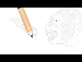 Godzilla vs. Kong 14 - Shin Godzilla: Origin