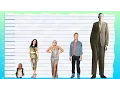 Download Lagu How Tall Is Charli XCX? - Height Comparison!