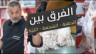 شو الفرق بين الدهنة  الشحمة  و اللية بالخروف    وكيف بيلعب اللحام فيها   لي ة و دهنة و شحمة   دندنها