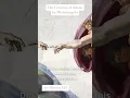 Download Lagu 365 dagen schilderen | Dag 17 | De schepping van Adam door Michelangelo