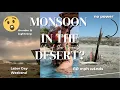 Monsoon in the Desert - Crazy rainstorm in summer