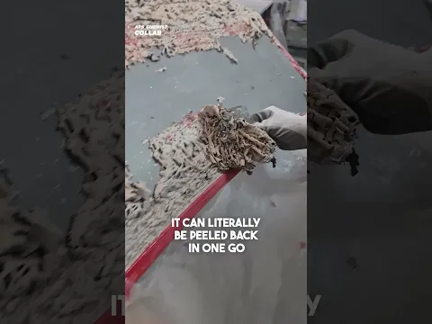 One Drop Will Ruin Your Car! 😱