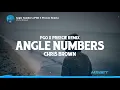 Download Lagu Chris Brown - Angle Numbers (Lyrics) (PGO x Preecie Remix) | Amapiano Remix