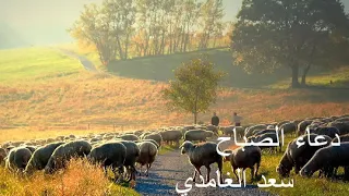 دعاء الصباح بصوت سعد الغامدي 