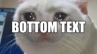 Ironic Memes Deconstructed 