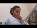 Rocco & Roxie Stain & Odor - Like It Never Happened - 30