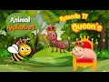 Animal Alphabet Episode 17 Q for