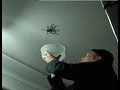 TOP 10 FAIL GIFS