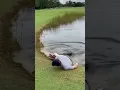 Alligator Attacks Golfer on Course - SHOCKING FOOTAGE