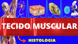 TECIDO MUSCULAR - HISTOLOGIA (ENSINO SUPERIOR) - TIPOS, ESTRUTURA, CARACTERÍSTICAS E COMPOSIÇÃO