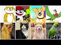 Download Lagu Honey Bunny Ka Jholmaal Cartoon characters in Real Life😍|Real Life pics of Honey Bunny😘|#Shorts