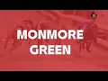Monmore Greyhounds - AM Races on Saturday 30th May 2026