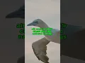 Download Lagu What Makes Northern Gannets SO Fascinating? #shorts #tweetylines #nature