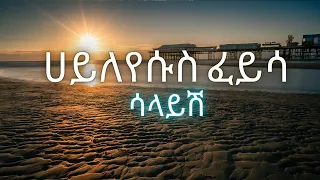 ሀይለእየሱስ ፈይሳ ሳላይሽ Hayleyesus Feyssa Salayesh 