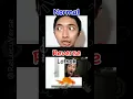 Download Lagu Ikan Tongkol Arman Vesona (reverse-subtitle) #shorts #reverse #lucu #memes