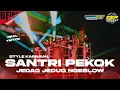 Lagu DJ SANTRI PEKOK JEDAG JEDUG NGESLOW • VIRAL TIKTOK • TSP PROJECTS OFFICIAL