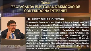 PROPAGANDA ELEITORAL E REMOCÃO DE CONTEÚDO NA INTERNET