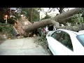Post-Isaias nightmare in Queens new outages uncleared trees