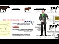 meaning of agriculture