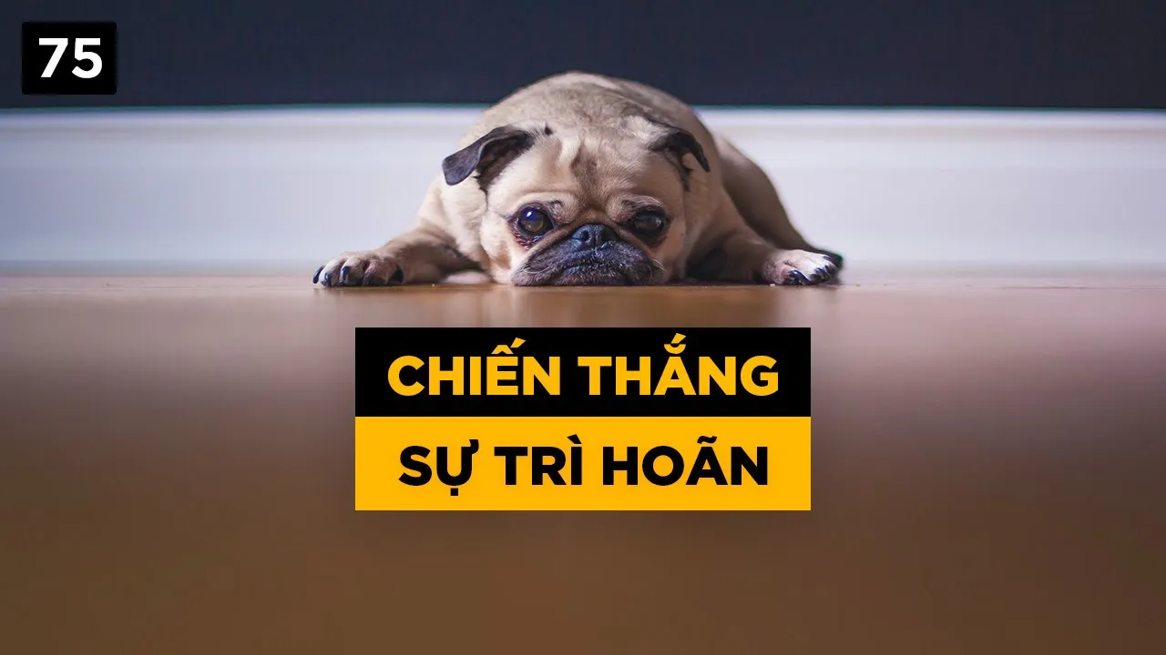 Outline Video Chiến thắng sự trì hoãn