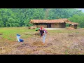 Download Lagu Single mother Ly Tieu Ca officially planted seeds on her land.