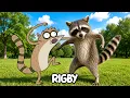 Regular Show Characters In Real Life Voice Actors Secrets More