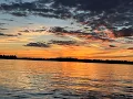 Forest Lane Resort Live Stream
