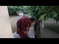 Download Lagu الولي الصالح سيدي أحمد الشيخ جهجوكة