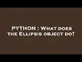 PYTHON What does the Ellipsis object do