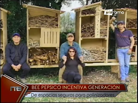 Bee Pepsico Incentiva Generación de espacios seguros para polinizadores