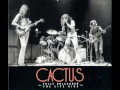 Download Lagu Cactus - Fully Unleashed - No Need To Worry