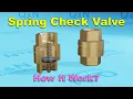 How Spring Check Valve Work Non Return Valve Assembly One Way Valve Working Principle