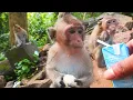 Download Lagu This video Liza Savana are hungry they ask milk in real feeling to me I feed Eva Emeline Pixie more