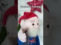 Santas In Training Part 12 - Kids visit the elves workshop