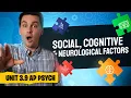 Social Learning The Brain AP Psychology Review Unit 3 Topic 9