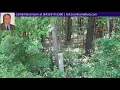 0 Rice Road Ridgeville SC 29472 - MLS