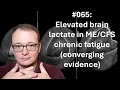 065 - Elevated brain lactate in chronic fatigue converging evidence