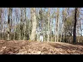 Once & Still I Wait & My Soul I - Anna Leone covers by L,*a in the forest