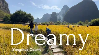 在中国享受美式梦幻假期