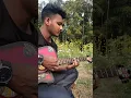 Download Lagu Gratitude Amin Toofani