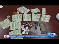 Yell County Drug Busts