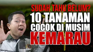 Download SUDAH TAHU BELUM.❓ 10 TANAMAN INI COCOK DITANAM DI MUSIM KEMARAU MP3