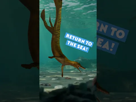 They were the first reptiles to return to the water